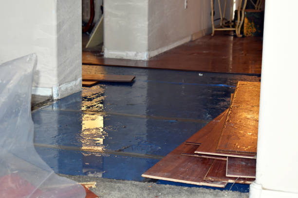 Professional Burst Pipe Cleanup technician working in Shartlesville, PA